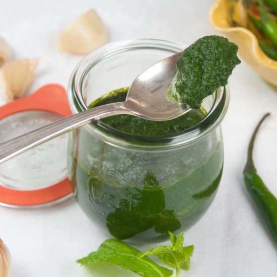 Green Chutney ~ 3 Easy Recipes - Recipe photo by MyIndianStove
