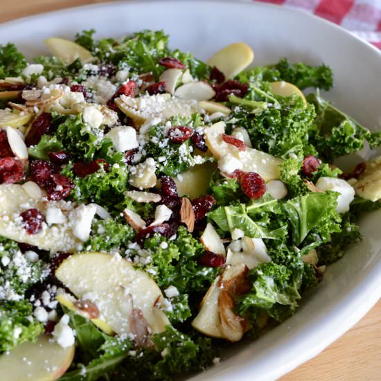 Kale Cranberry Feta Salad - Recipe photo by thisdelicioushouse