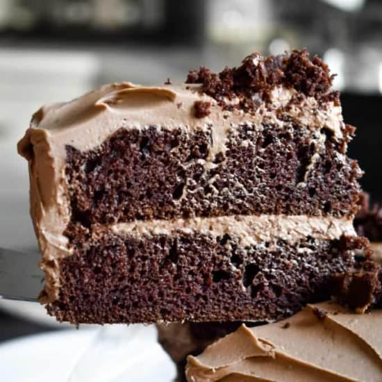 Double Chocolate Layer Cake - Recipe photo by stressbaking