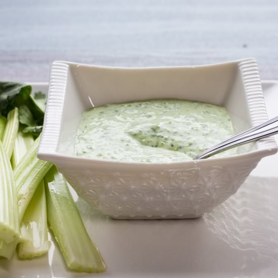 Creamy Jalapeno Dip - Recipe photo by jenn@cookwhatyoulove.com