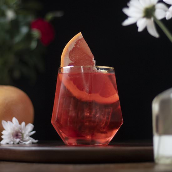 Aquavit Negroni - Recipe photo by moodymixologist