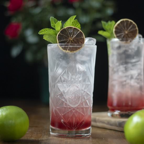 Cranberry Aquavit & Tonic - Recipe photo by moodymixologist