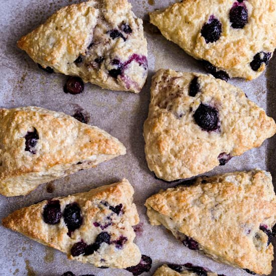 Healthy Blueberry Scones - Recipe photo by dwardcooks