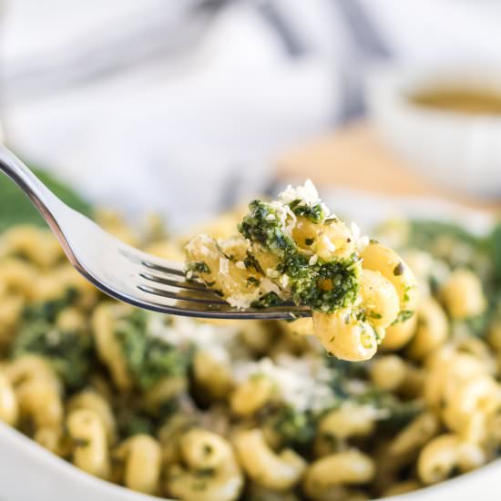 Pesto Cavatappi - Recipe photo by confessionsofparenting