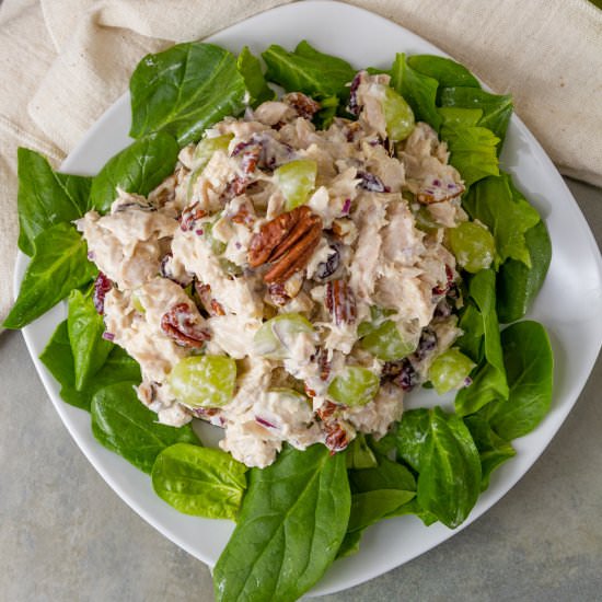 Cranberry Pecan Tuna Salad - Recipe photo by dwayland