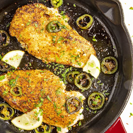 Blackened Chicken - Recipe photo by ChiliPepperMadness