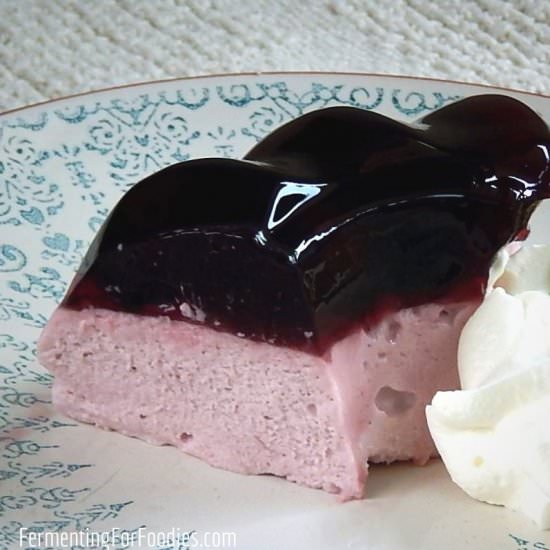 Healthy Homemade Fruit Juice Jello - Recipe photo by Emillie