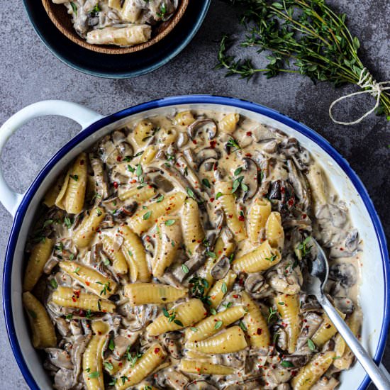 One Pot Mushroom Stroganoff - Recipe photo by olivesintheoven