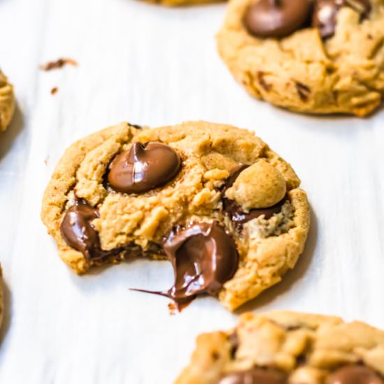 Almond butter chocolate chip cookie - Recipe photo by ltully