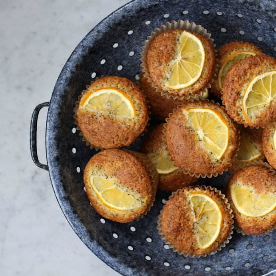 Meyer Lemon Poppy Seed Muffins - Recipe photo by dishnthekitchen