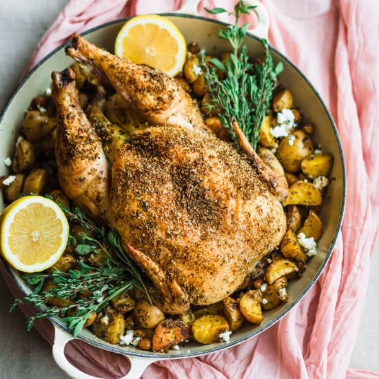 Roasted Feta Brined Chicken - Recipe photo by megiswell