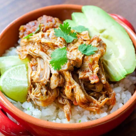 INSTANT POT SALSA CHICKEN - Recipe photo by Cook Eat Well