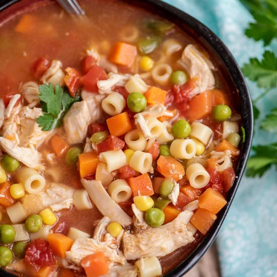 Instant Pot Chicken Vegetable Soup - Recipe photo by cookedbyjulie