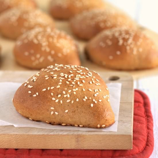 cocoles de anis y piloncillo - Recipe photo by davebakes