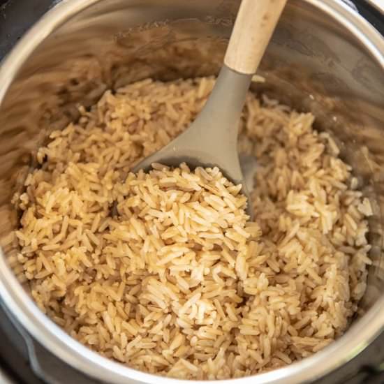 Instant Pot Brown Rice - Recipe photo by garnishedplate