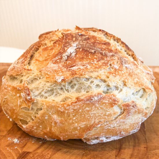 No Knead Bread - Recipe photo by Icing on the Bake