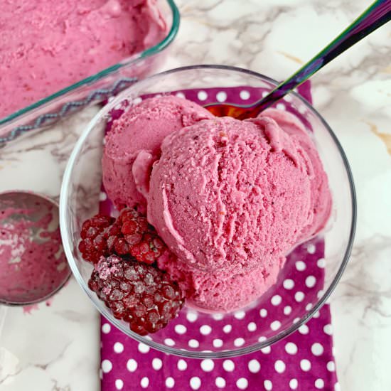 Super Berry Greek Frozen Yogurt - Recipe photo by Theyummymuffin