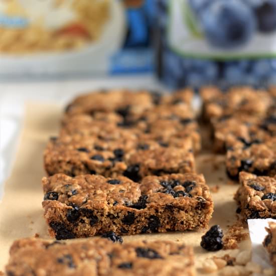 blueberry crunch bars - Recipe photo by davebakes