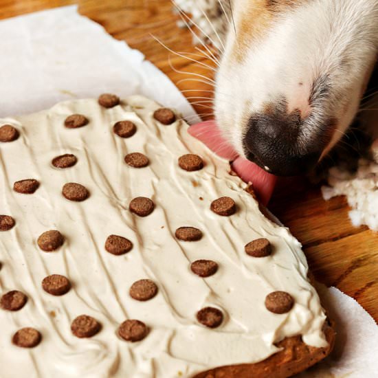 Kingsley's Cake-a dog birthday cake - Recipe photo by Donut Worry Be Healthy