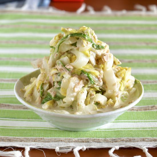 Chinese Napa Cabbage Salad - Recipe photo by ochikeron