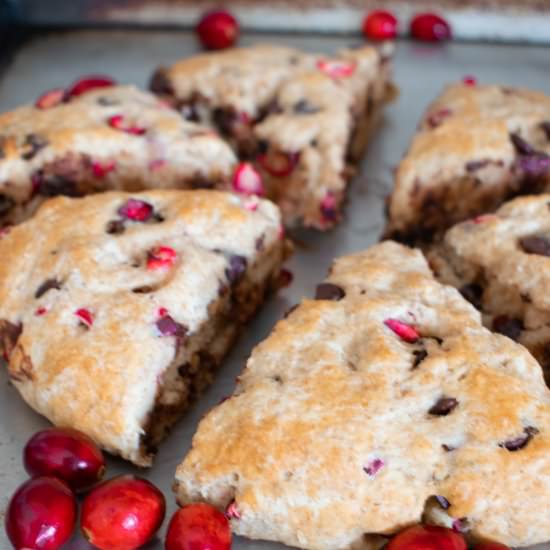 Cranberry Dark Chocolate Cake Scone - Recipe photo by sticksscratchkitchen