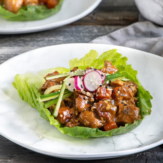 Instant Pot Sweet Tangy Chicken - Recipe photo by IrenaMacri