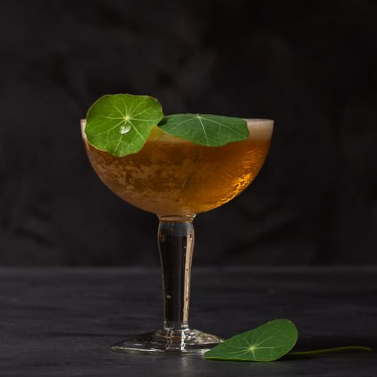Honey Rhubarb Silver Sour - Recipe photo by peck of pickles