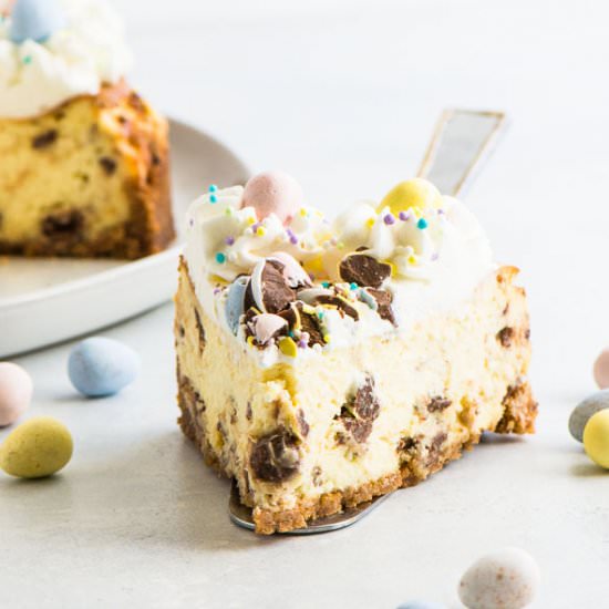 Easter Egg Cheesecake - Recipe photo by theitsybitsykitchen