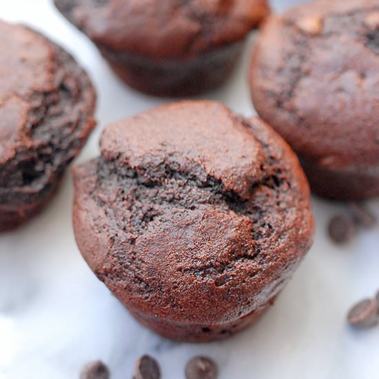 Double chocolate chip muffins - Recipe photo by evabakes