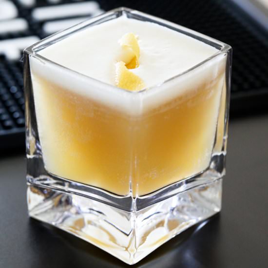 Bourbon Whiskey Sour - Recipe photo by DailyAppetite