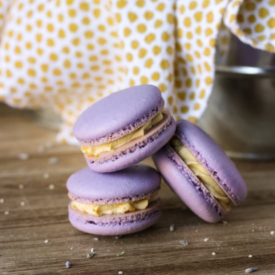 Lavender and Honey Macarons - Recipe photo by Bakes and Blunders