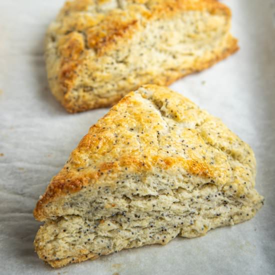Lemon Poppy Seed Scones - Recipe photo by bakesbybrownsugar