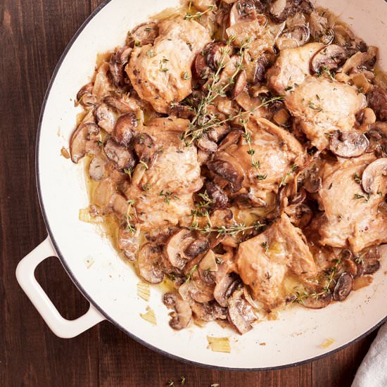 Creamy chicken with mushroom - Recipe photo by tastyandfrenchy