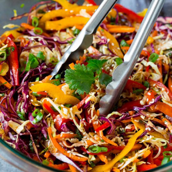 Asian Slaw with Sesame Dressing - Recipe photo by dinneratthezoo