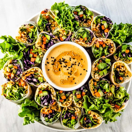 Fresh Spring Rolls - Recipe photo by The Endless Meal