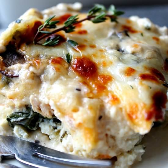 Chicken Alfredo Lasagna - Recipe photo by agoudalife