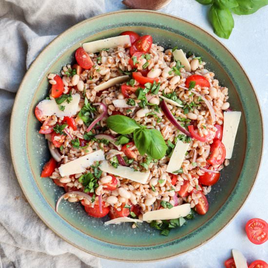 white bean farro salad - Recipe photo by Caits Plate