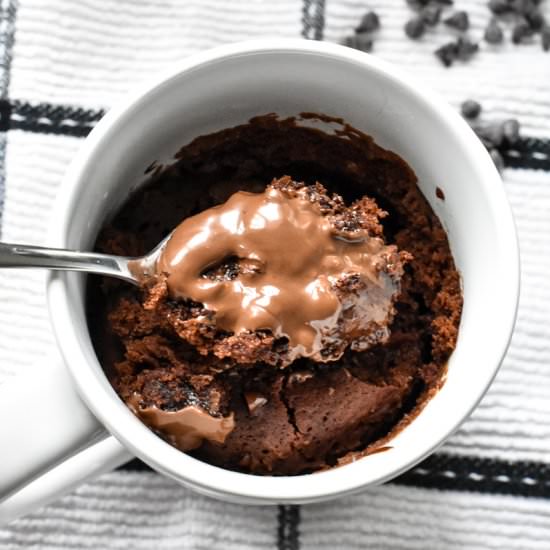 The Best Chocolate Mug Cake - Recipe photo by stressbaking