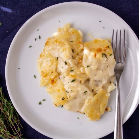 The Best Au Gratin Potatoes - Recipe photo by Salty Lemon Sister