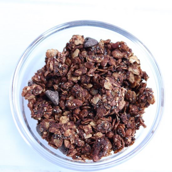 Dark Chocolate and Sea Salt Granola - Recipe photo by The Traveling Dietitian