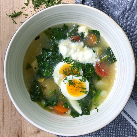 Vegetarian Green Borscht - Recipe photo by Mintykitchen