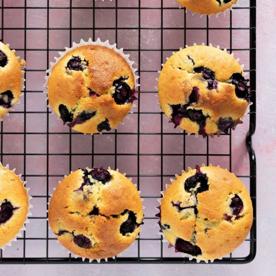 sourdough blueberry muffins - Recipe photo by allyoukneadisbread