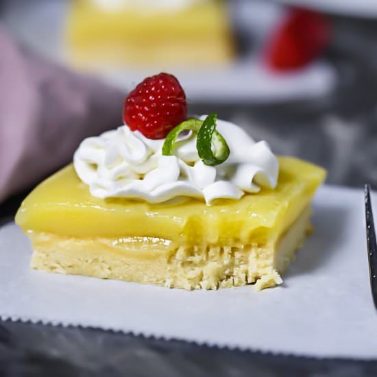 SCD + Paleo Lemon Squares - Recipe photo by Lila Ruth Grain Free