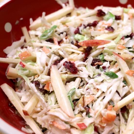 Sweet Cranberry Apple Coleslaw - Recipe photo by Sprinkleofsesame