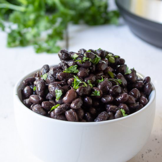 Black Bean Recipes - Recipe photo by BeyondtheCoop