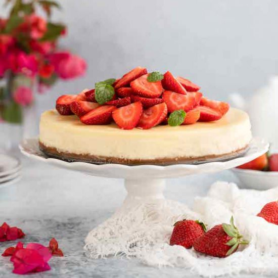 BEST CHEESECAKE RECIPE - Recipe photo by Art of Palate