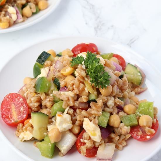Mediterranean Farro Salad - Recipe photo by The Traveling Dietitian
