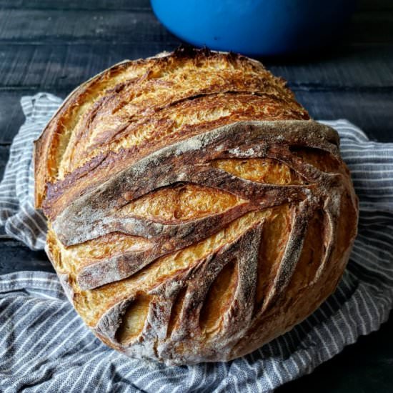 Adventures In Sourdough Bread - Recipe photo by mangotomato