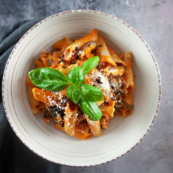 Vegan Roasted Red Bell Pepper Penne - Recipe photo by plantfoodfederation