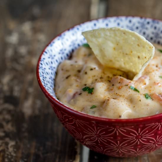 Homemade Queso Dip - Recipe photo by Or Whatever You Do